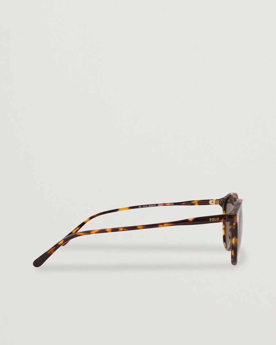 Herren | Sonnenbrillen | Polo Ralph Lauren | 0PH4110 Round Sunglasses Havana