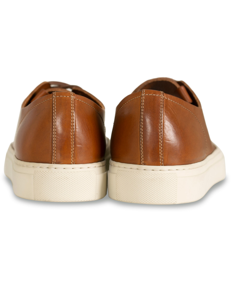 Herren | Buttero Calf Sneaker Congac | Buttero | Calf Sneaker Congac