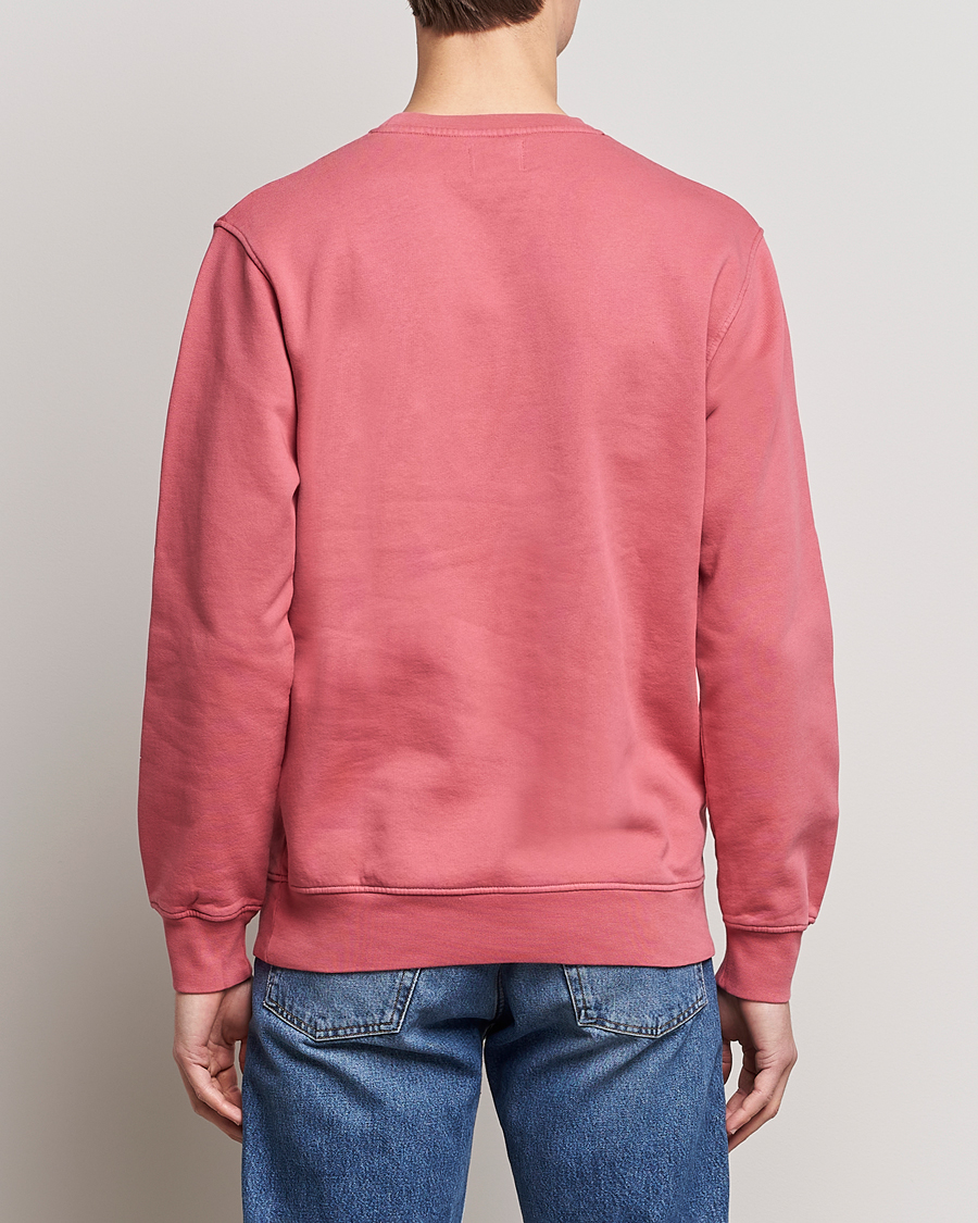 Herren | Pullover | Colorful Standard | Classic Organic Crew Neck Sweat Raspberry Pink