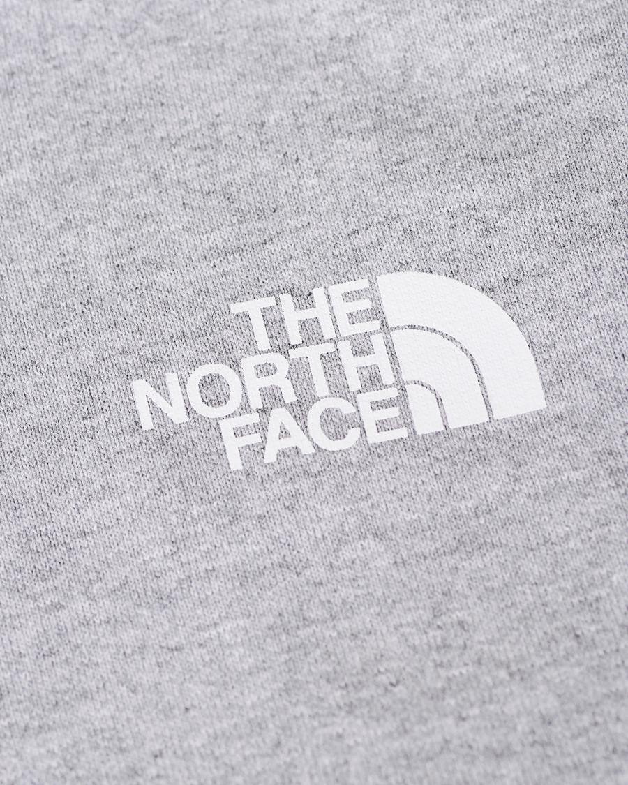 Herren | Pullover | The North Face | Raglan Redbox Hoodie Grey Heather