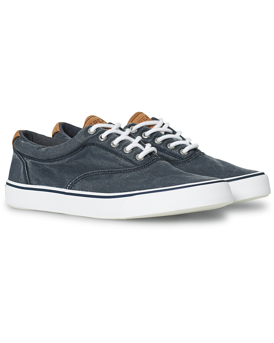 Herren | Sperry Striper II Canvas Sneaker Dark Navy | Sperry | Striper II Canvas Sneaker Dark Navy