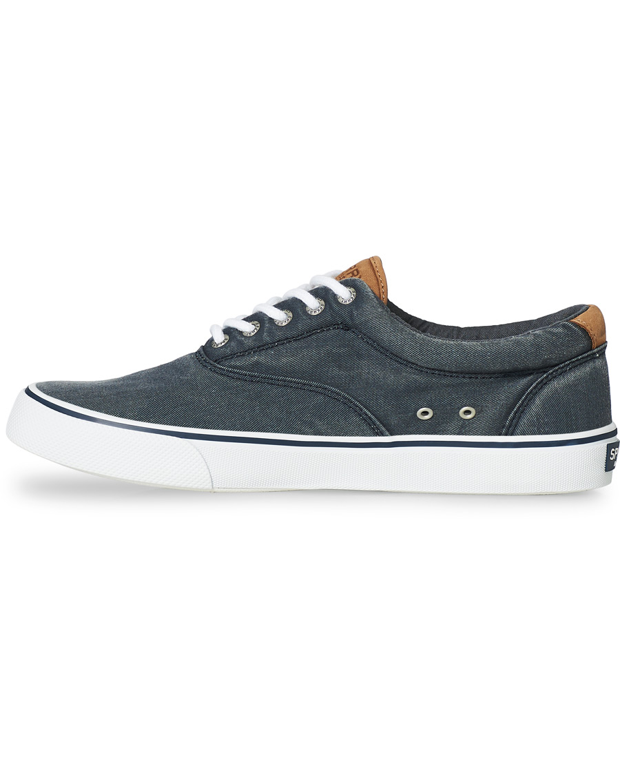 Herren | Sperry Striper II Canvas Sneaker Dark Navy | Sperry | Striper II Canvas Sneaker Dark Navy