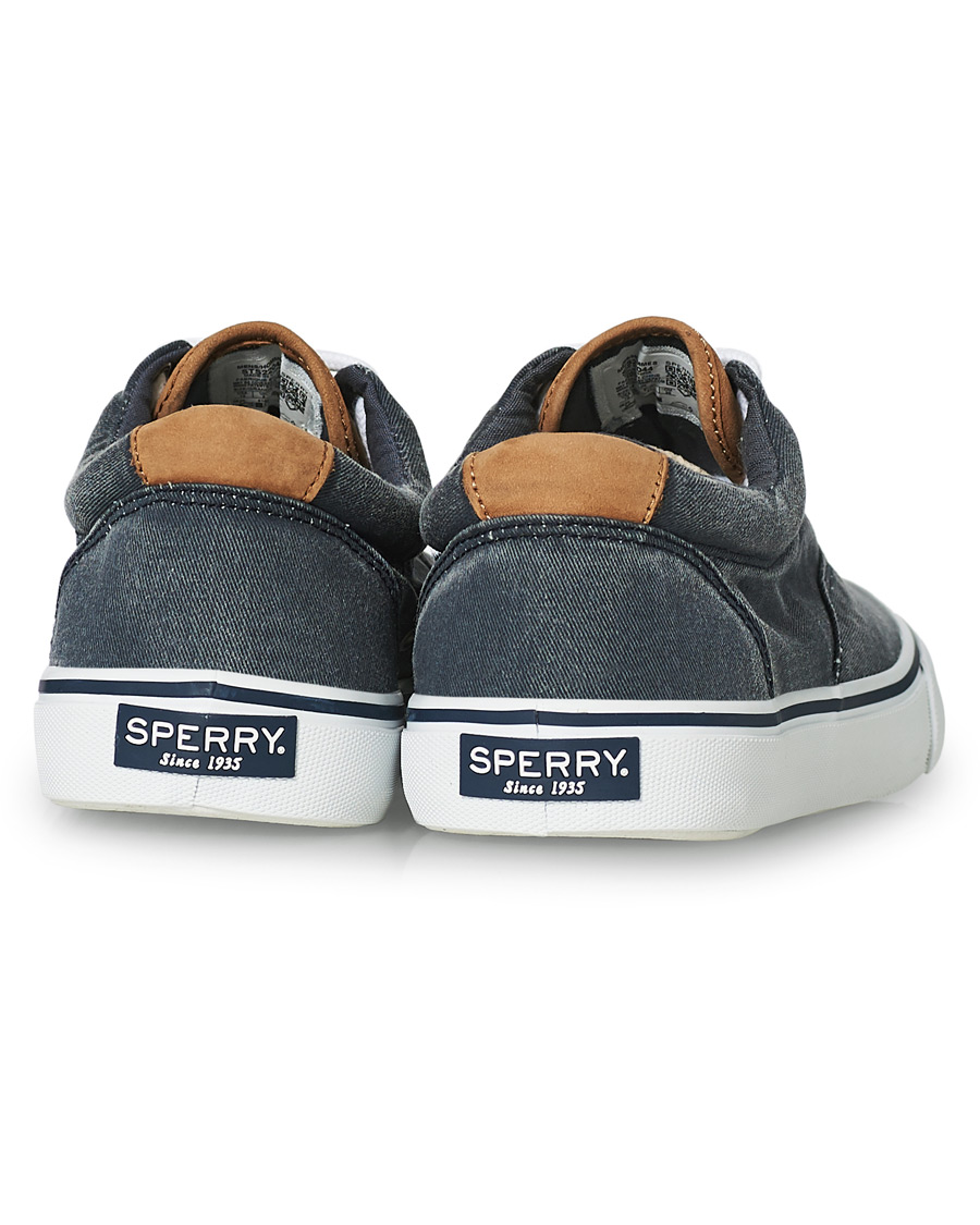 Herren | Sperry Striper II Canvas Sneaker Dark Navy | Sperry | Striper II Canvas Sneaker Dark Navy