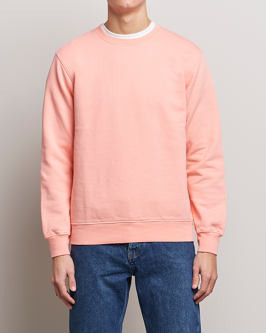 Herren | Special gifts | Colorful Standard | Classic Organic Crew Neck Sweat Bright Coral