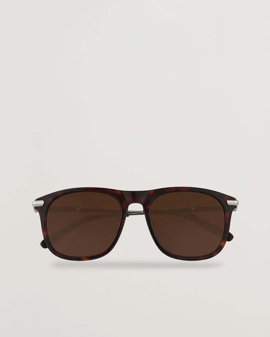Herren | Brioni BR0094S Sunglasses Havana Brown | Brioni | BR0094S Sunglasses Havana Brown