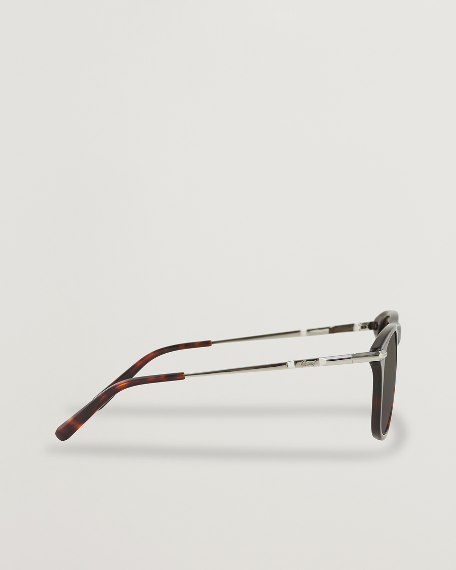 Herren | Brioni BR0094S Sunglasses Havana Brown | Brioni | BR0094S Sunglasses Havana Brown