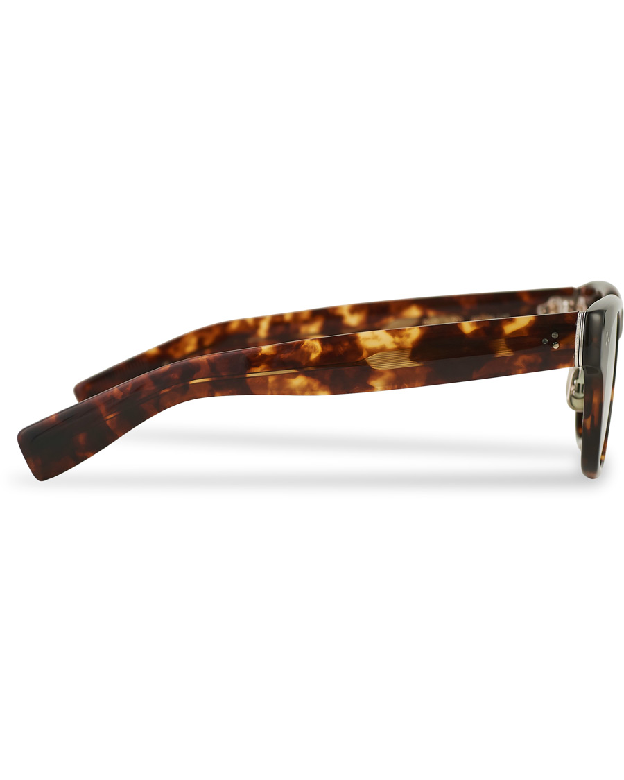 Herren | Eyevan 7285 329 Sunglasses Brown Tortoise | EYEVAN 7285 | 329 Sunglasses Brown Tortoise