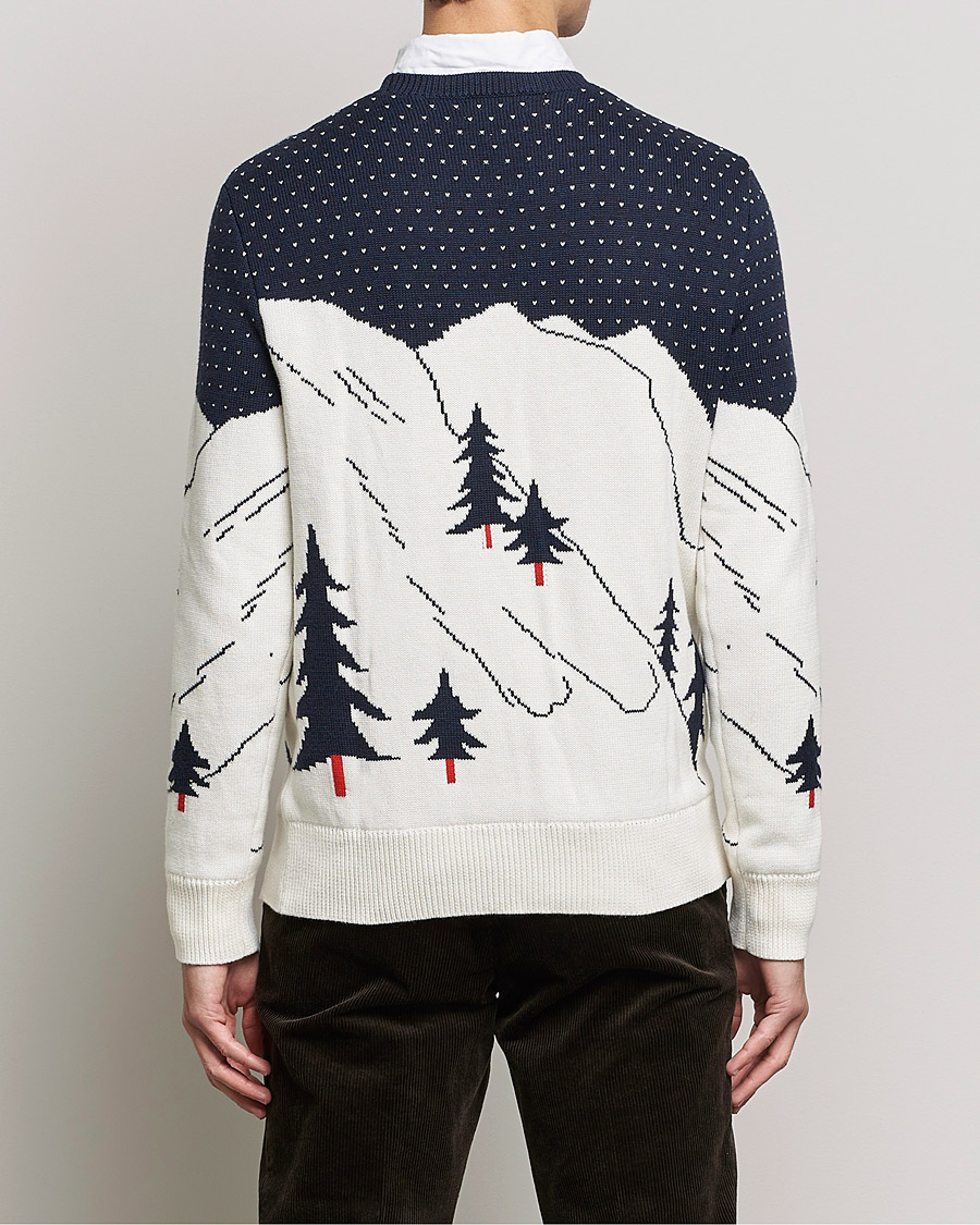 Herren | Pullover | Polo Ralph Lauren | Cotton Ski Knitted Sweater Navy Multi