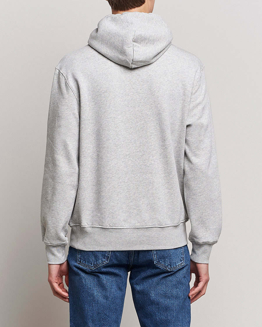 Herren | Pullover | Polo Ralph Lauren | Magic Fleece Printed Bear Hoodie Andover Heather