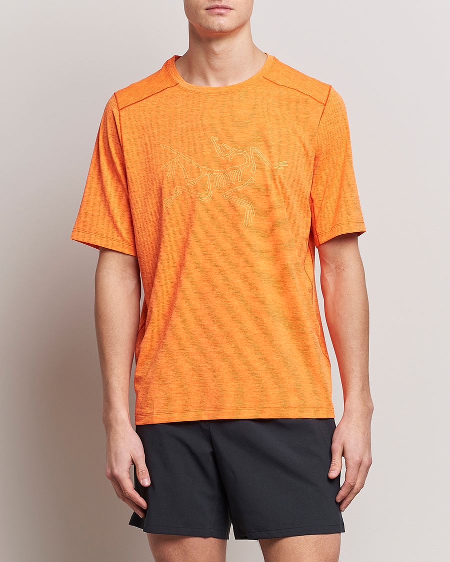 Herren | T-Shirts | Arc'teryx | Cormac Logo Tee Phenom Heather