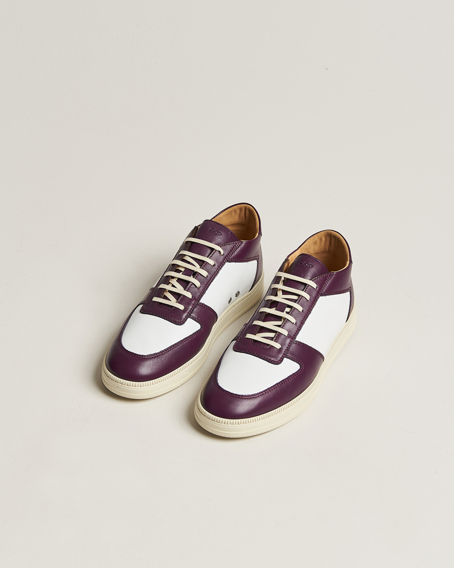 Herren | Schuhe | CQP | Cingo Leather Sneaker Eggplant/White