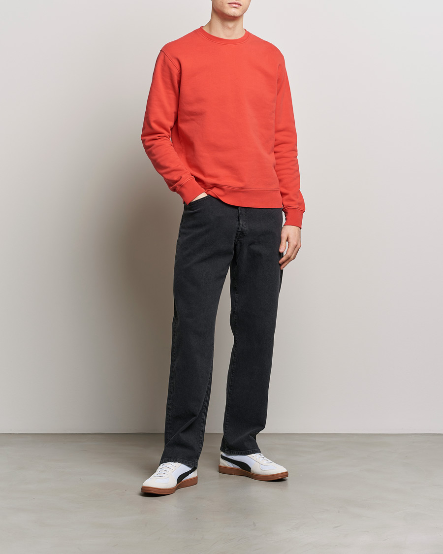 Herren | Pullover | Colorful Standard | Classic Organic Crew Neck Sweat Red Tangerine