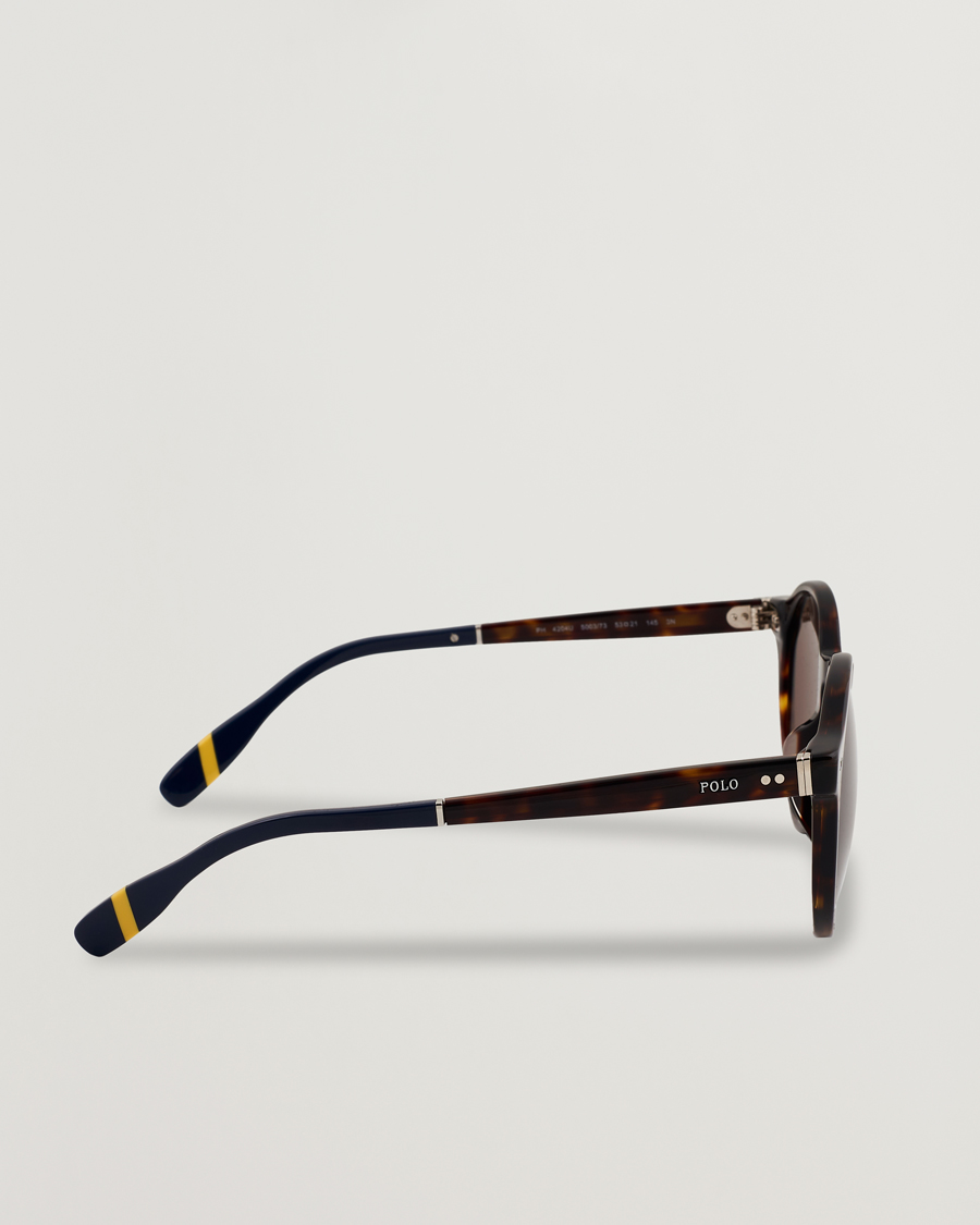 Herren | Sonnenbrillen | Polo Ralph Lauren | 0PH4204U Sunglasses Dark Havana