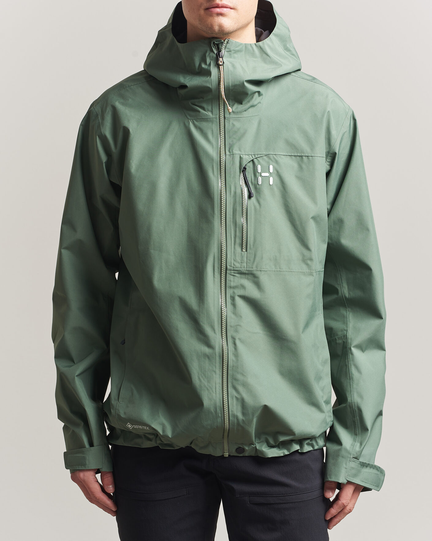 Herren | Jacken | Haglöfs | Alert Gore-Tex Jacket Chlorophyll Green
