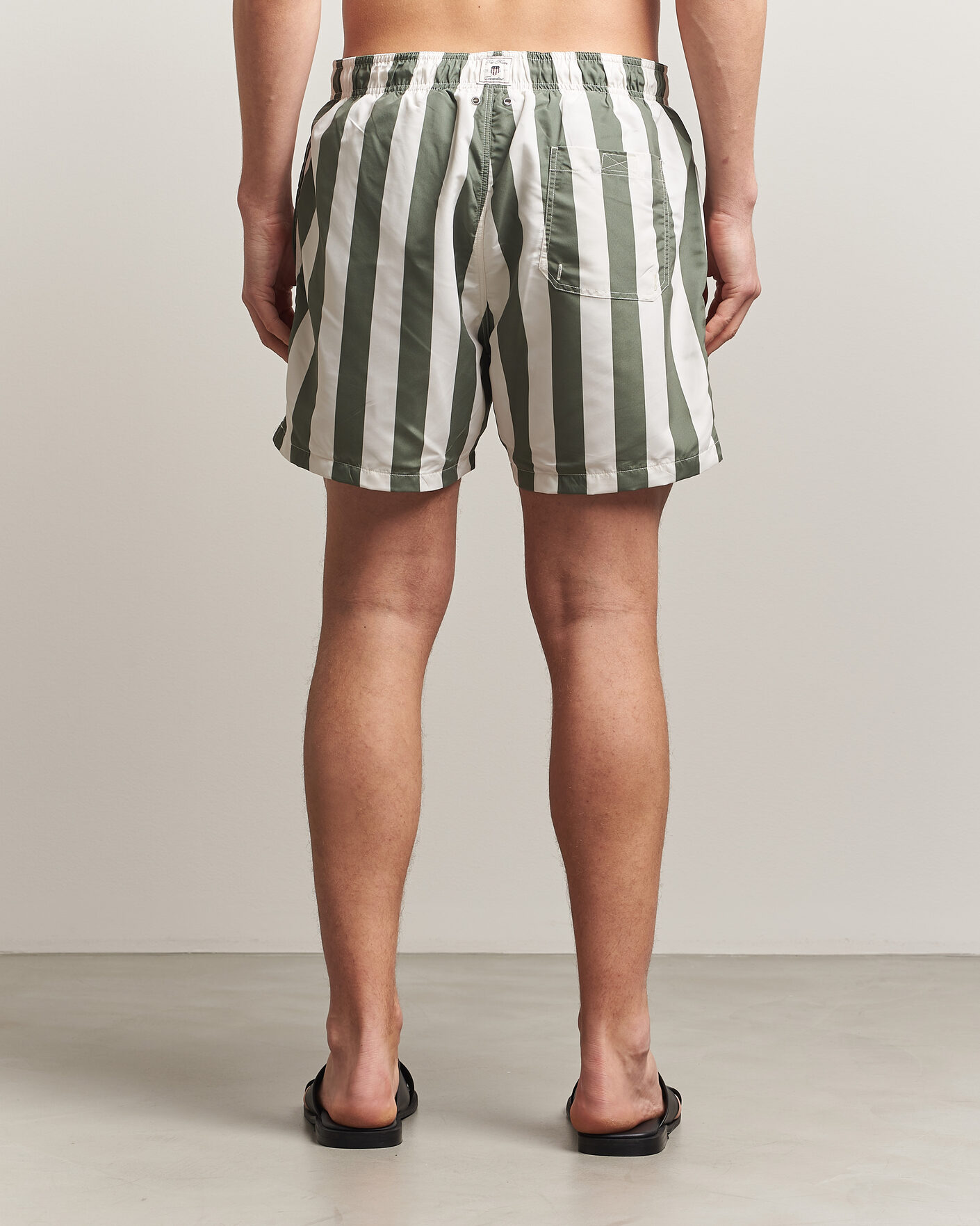 Herren | Badehosen | GANT | Blockstriped Swimshorts Dry Herb Green