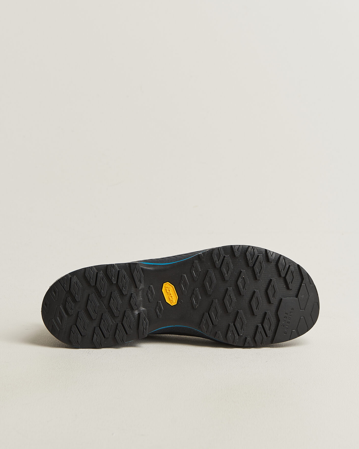 Herren | Hikingschuhe | La Sportiva | TX4 EVO Cypress/Night Sky