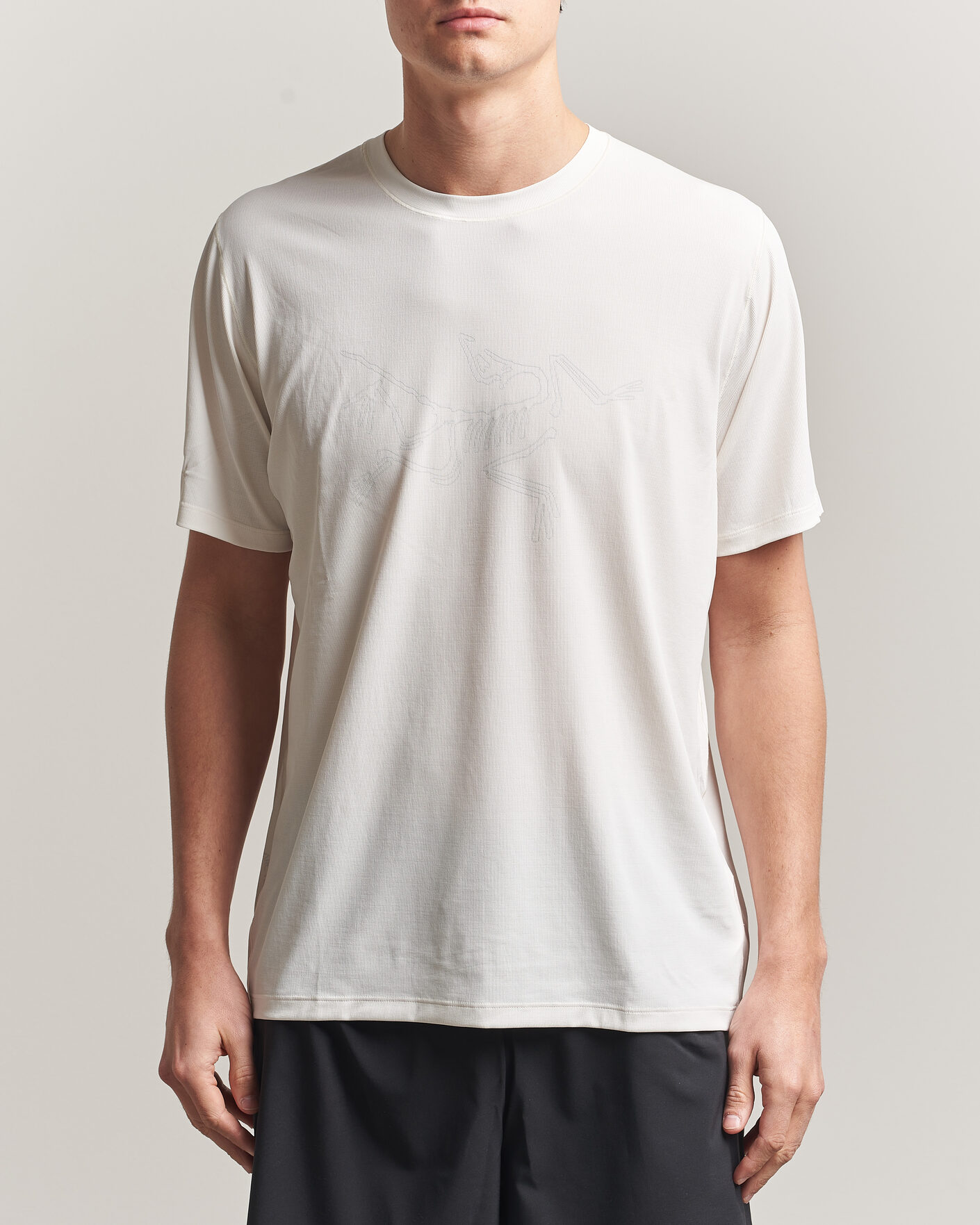 Herren | T-Shirts | Arc'teryx | Cormac Bird Logo Crew Neck T-Shirt Arctic Silk