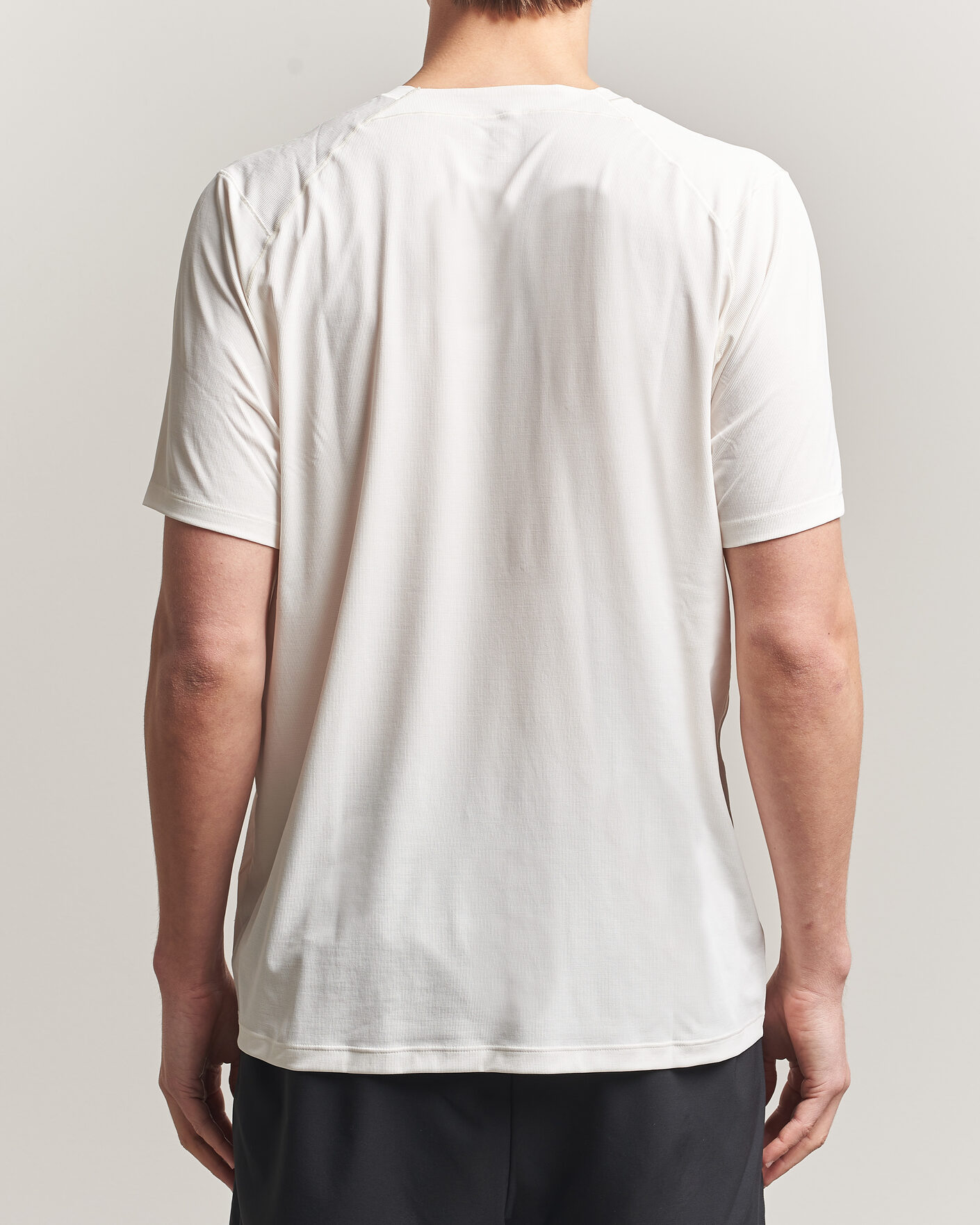 Herren | T-Shirts | Arc'teryx | Cormac Bird Logo Crew Neck T-Shirt Arctic Silk