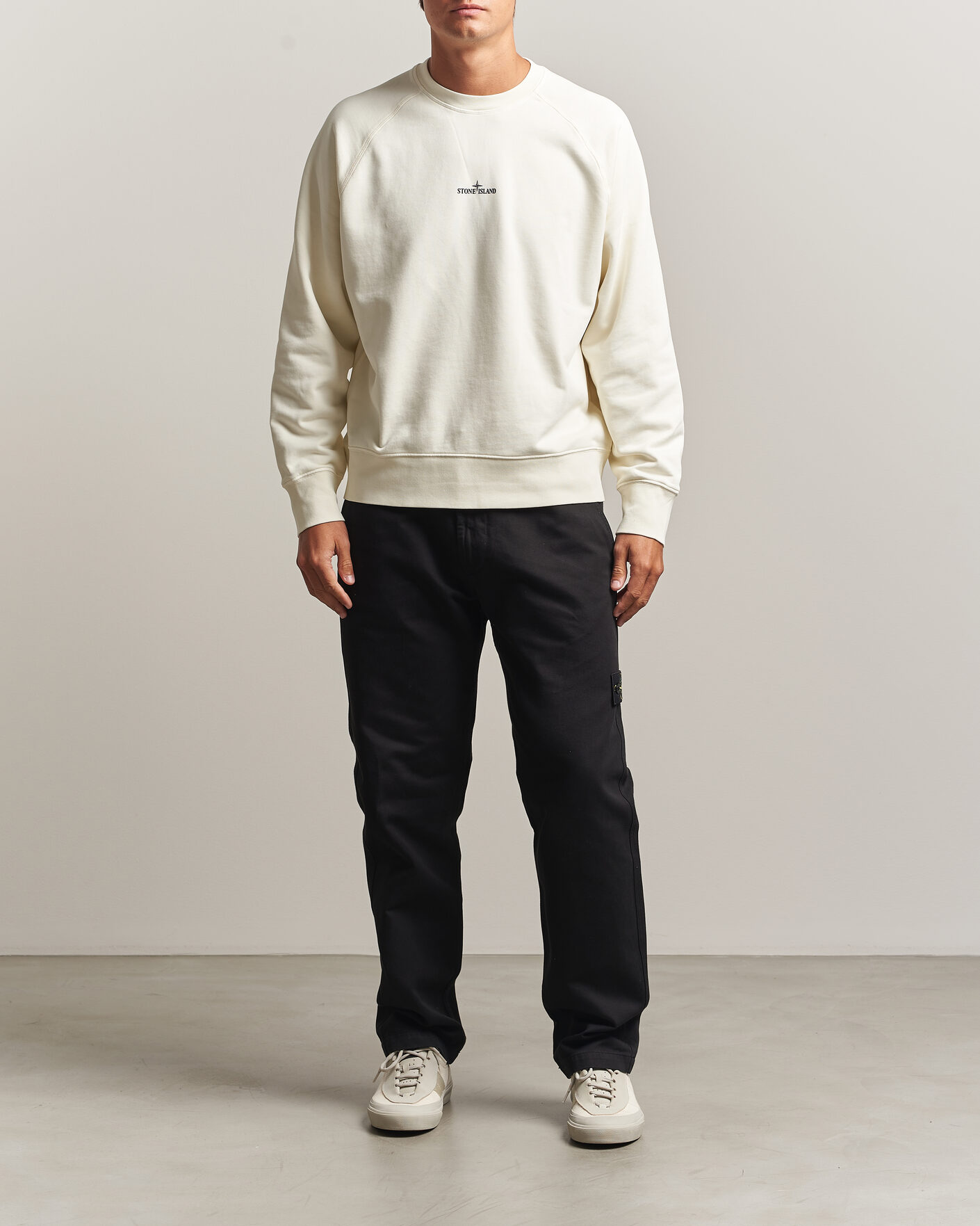 Herren | Pullover | Stone Island | Garment Dyed Fleece Desert Print Sweatshirt Ivory