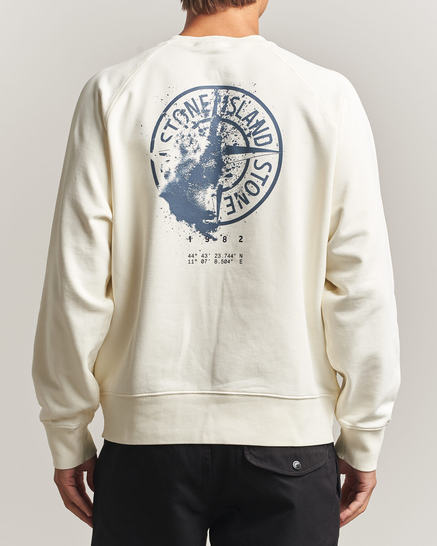 Herren | Pullover | Stone Island | Garment Dyed Fleece Desert Print Sweatshirt Ivory